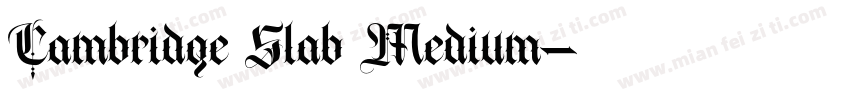 Cambridge Slab Medium字体转换